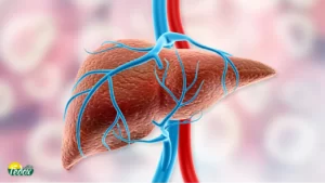 اثر درمانی جو دوسر برای کبد چرب، هنوز ثابت نشده است، اما مصرف آن برای پیشگیری از ابتلا به کبد چرب، موثر است.